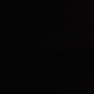 Meet your Posher, Fishscale